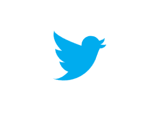 Twitter Logo CSS Art Image